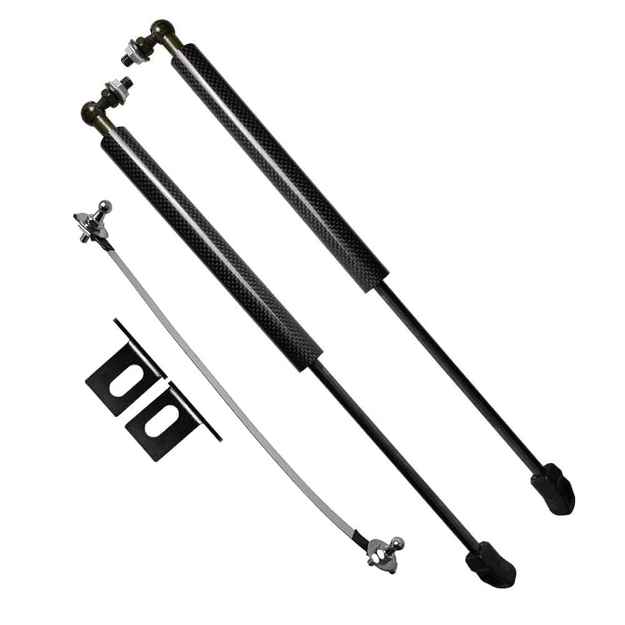 Amazon.com: TSUBASA Lift Supports Struts for Nissan Rogue X
